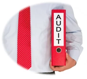 AUDITSmaller
