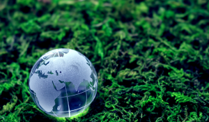 Environmental Considerations in IT Asset Disposal